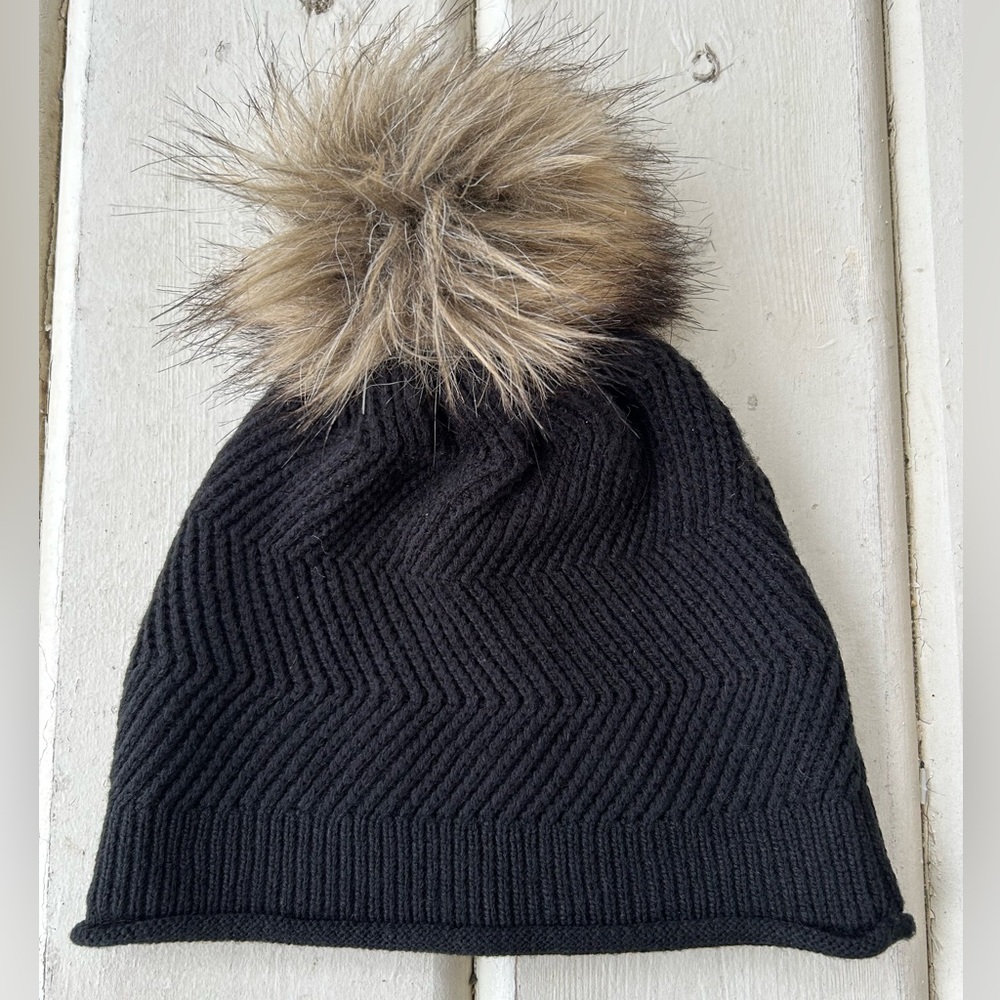 ARITZIA Pom TNA Beanie